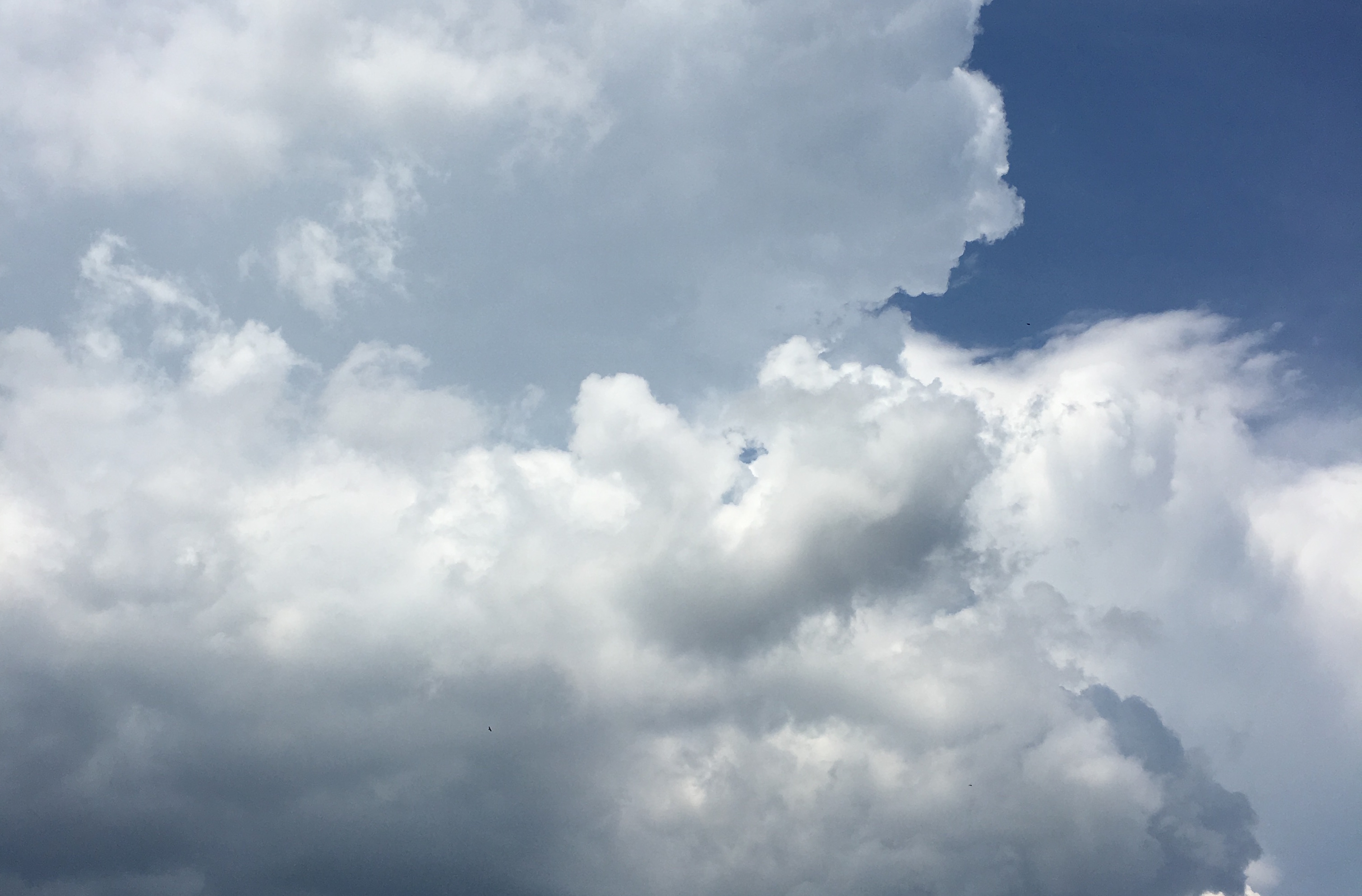 Unsplashed background img 3